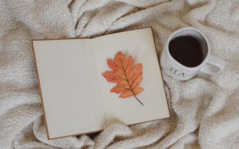 Decke mit aufgeschlagenem Buch, ein herbstliches Blatt liegt darauf, daneben eine Tasse Tee